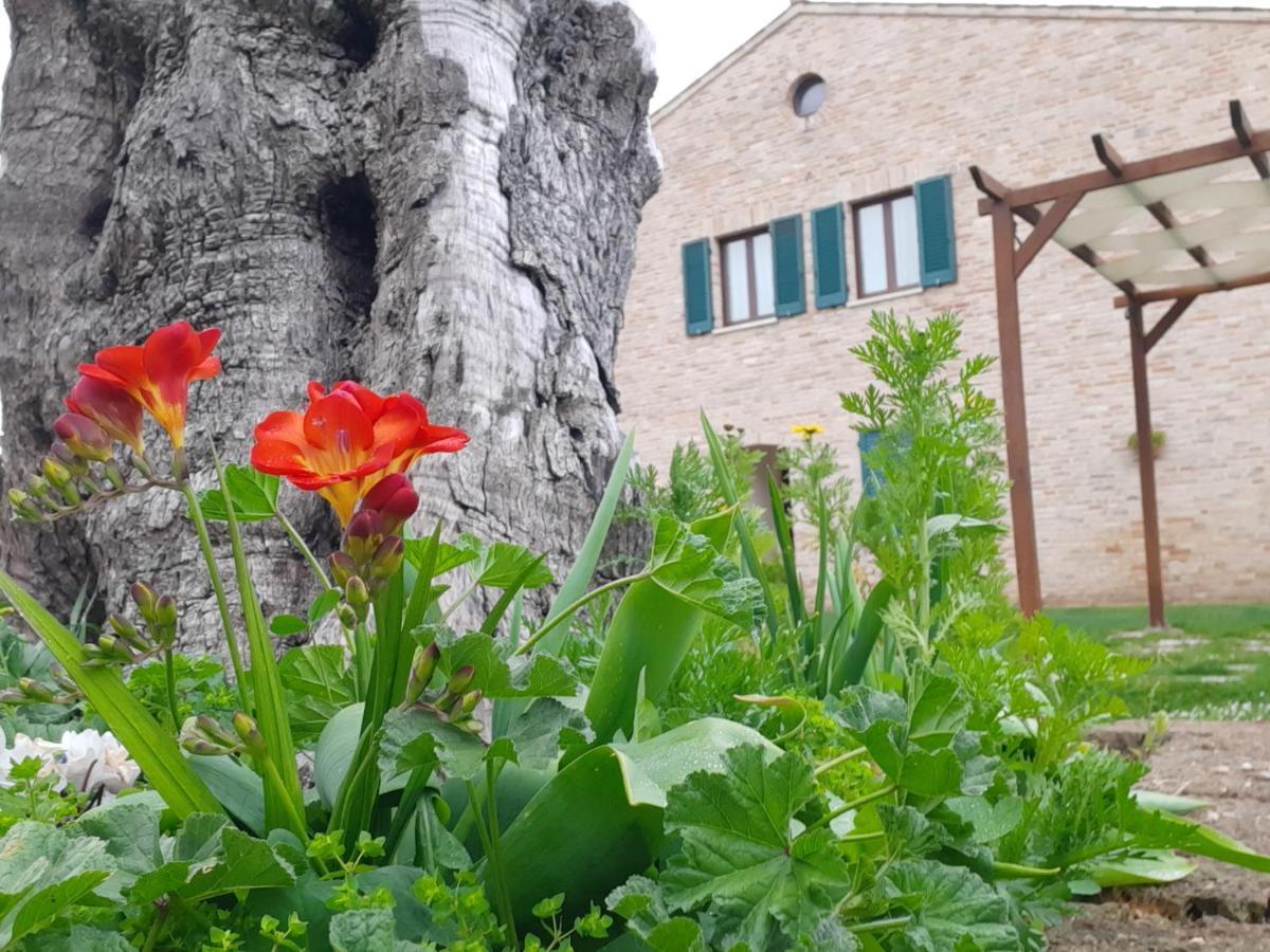 Casale Del Conero Aparthotel Porto Recanati Luaran gambar